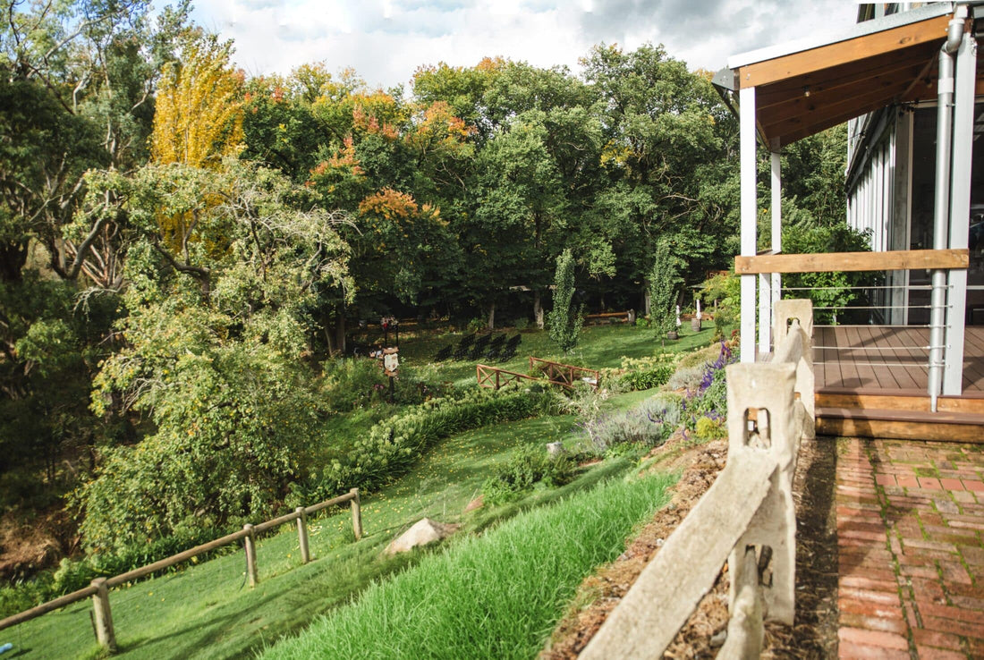 Gardens and bushland below the verandah at the Inglewood Inn