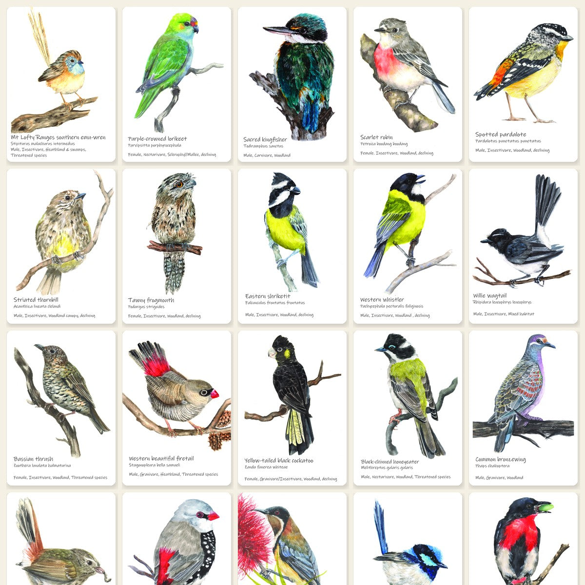 Birds of the Mount Lofty Ranges — Memory Card Game