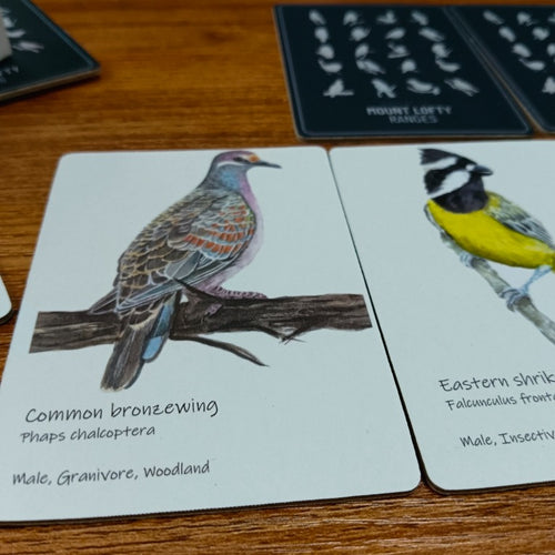 Two cards up close, Common Bronzewing and Eastern Shrikebit, each showing the bird's name, species, diet and habitat