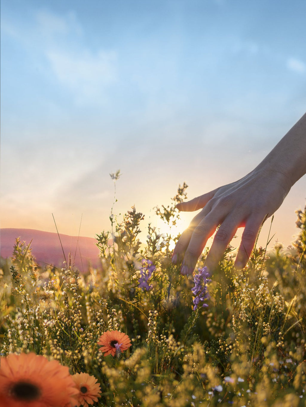 Mother's Day Bundle with Jurlique Farm